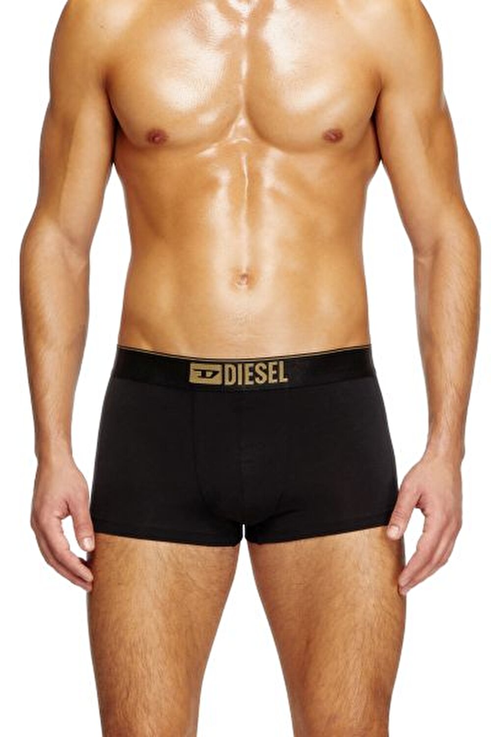 BOXER