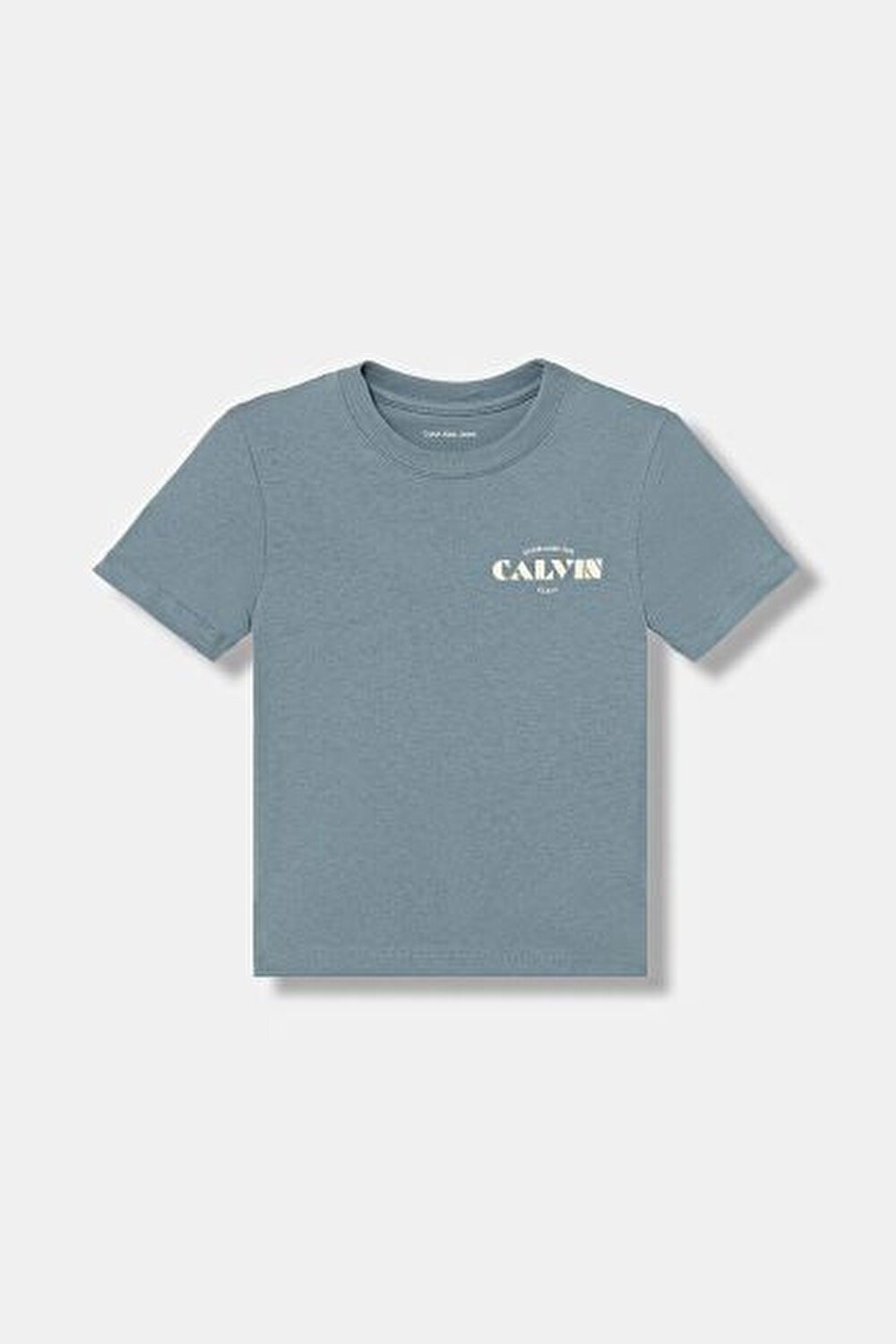 MAVİ LOGOLU ERKEK ÇOCUK T-SHIRT
