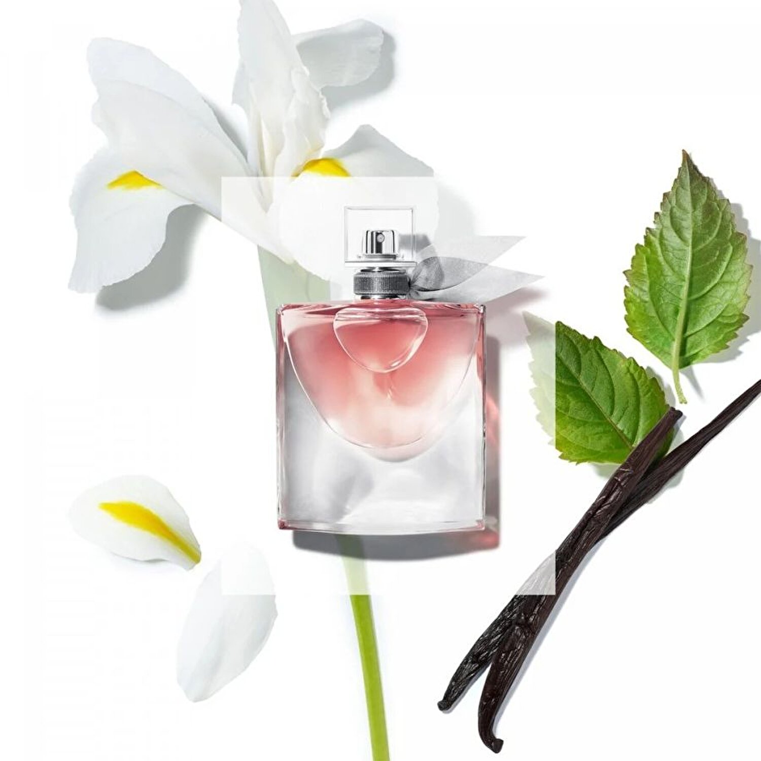 LANCOME LA VIE EST BELLE EDP 50 ML