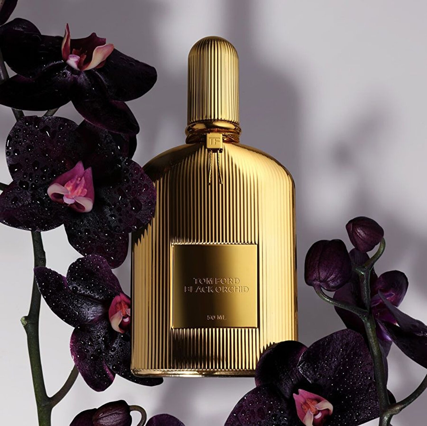 TOM FORD BLACK ORCHID PARFUM 50 ML